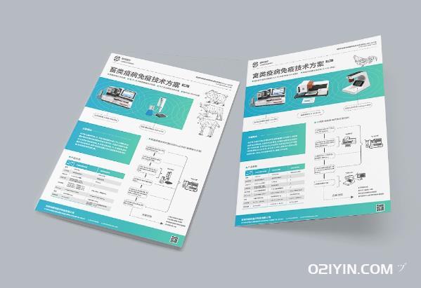 產(chǎn)品彩頁(yè)制作  第2張