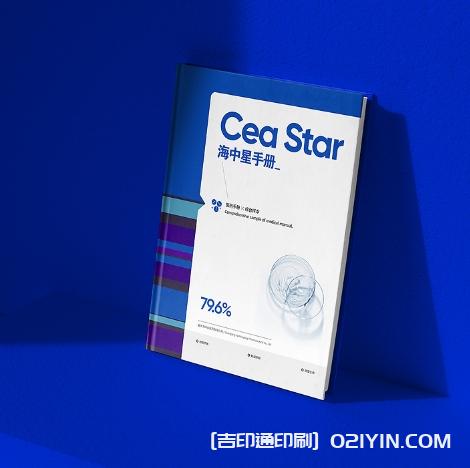 商業(yè)研發(fā)手冊(cè)設(shè)計(jì)印刷  第2張